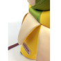 b5.png